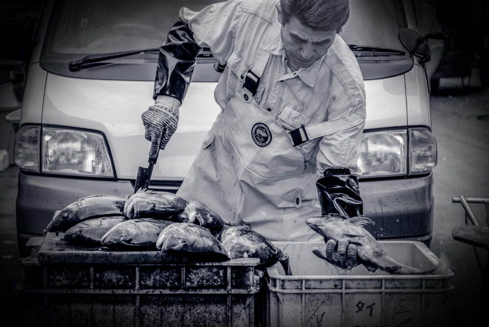 Photograph by Вячеслав ИВАНОВ