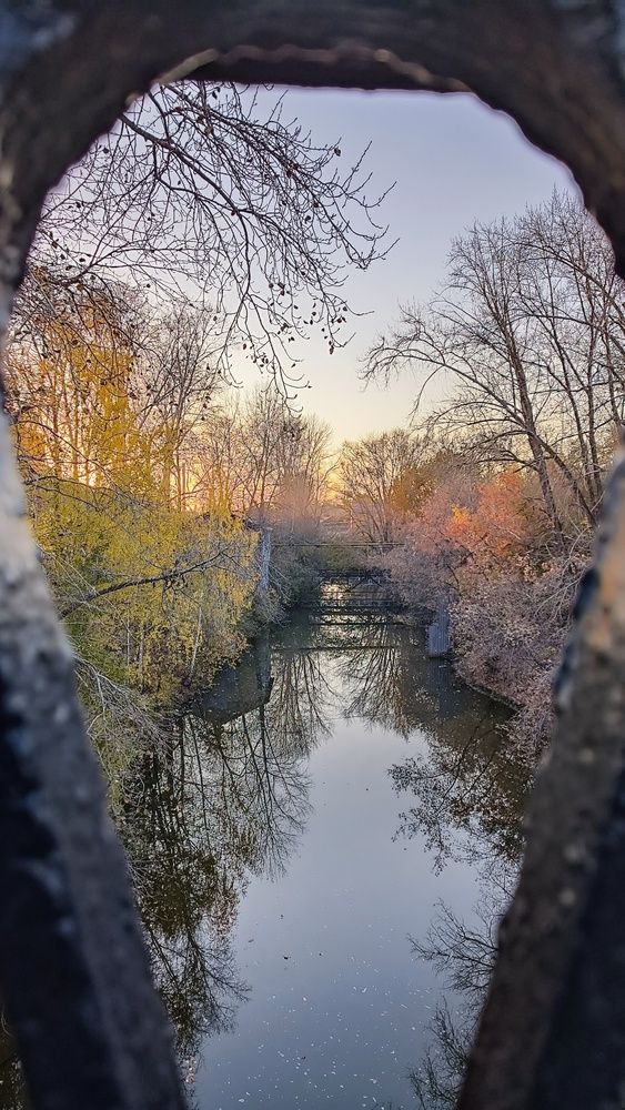 Осенние мотивы