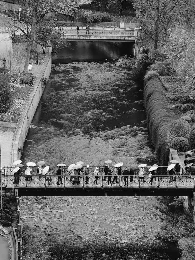 Photograph by Наталья Алфёрова