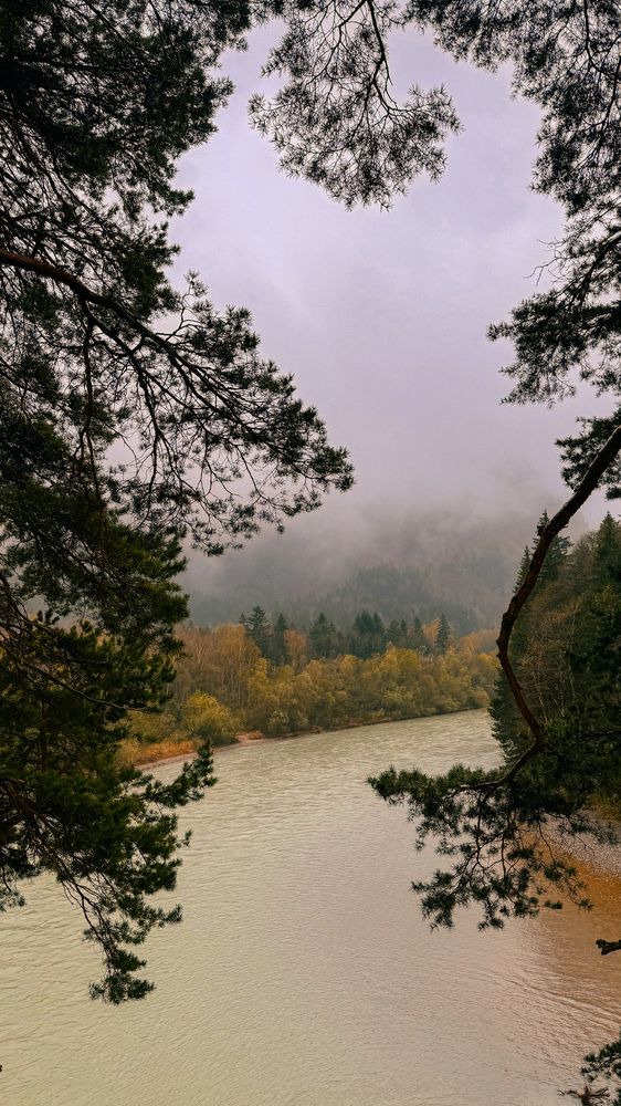 Photograph by Наталья Алфёрова