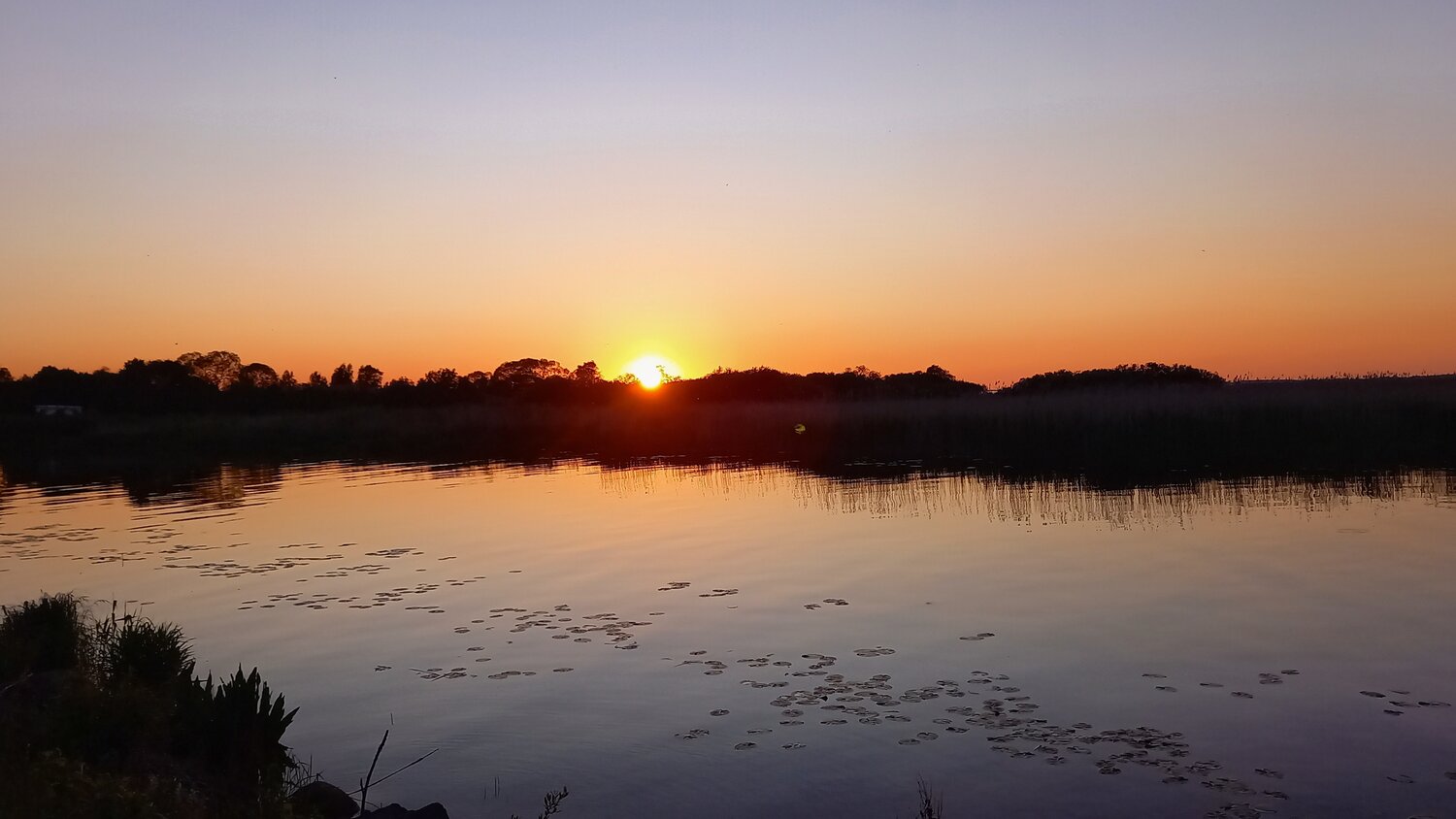Photo #13409098