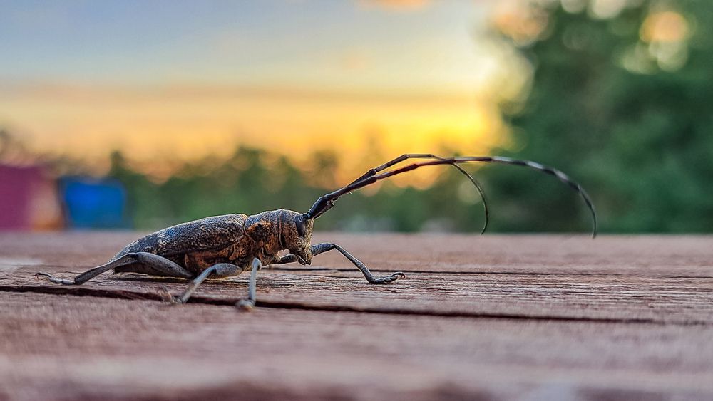 Photograph by Виктор Сёмушкин