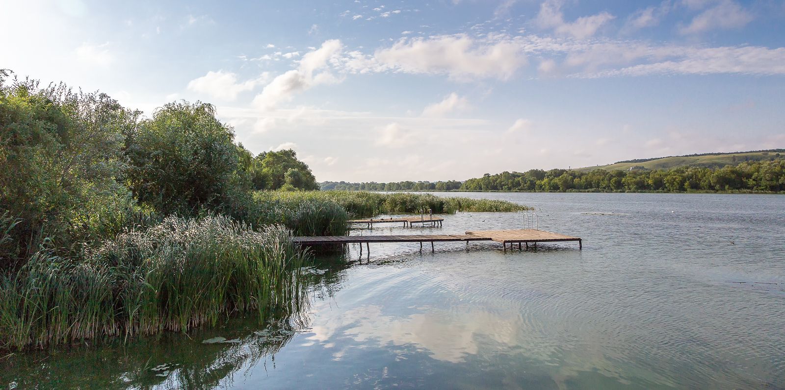 Донская старица