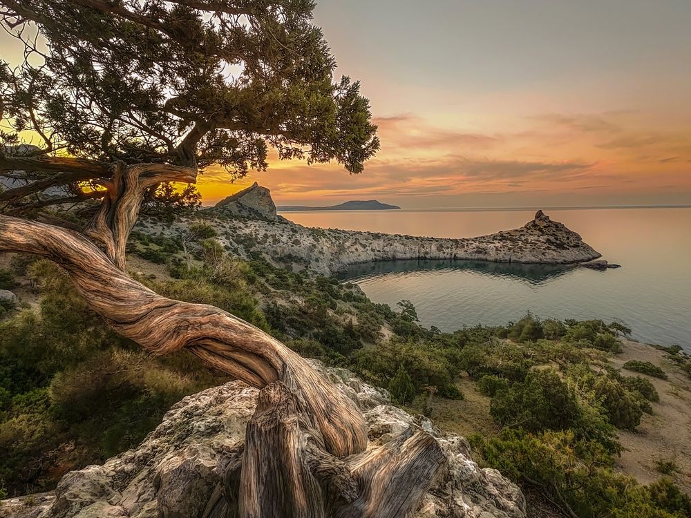 Photograph by Александр Разумов