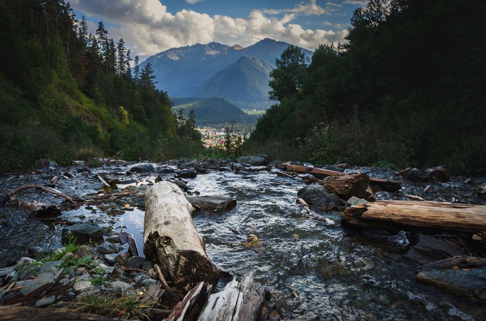 Photograph by Фурман Алексей