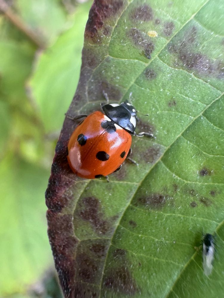 Photograph by Бойкова Наталия