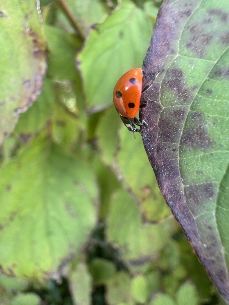 Photograph by Бойкова Наталия