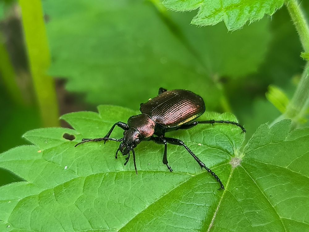 Photograph by Сергей Бахаев