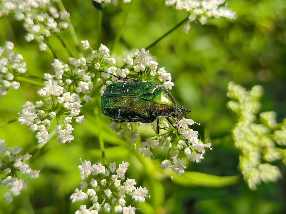 Photograph by Сергей Бахаев
