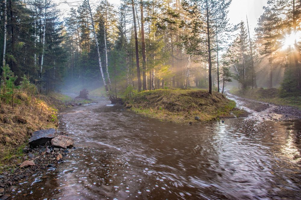 Photograph by Vladim Bormotov