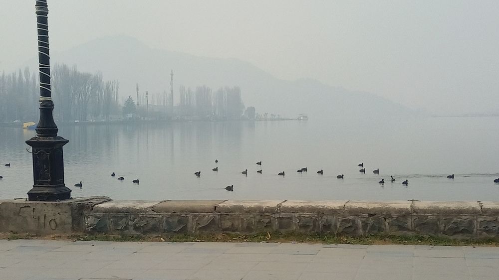 Photograph by Rubina Hasan