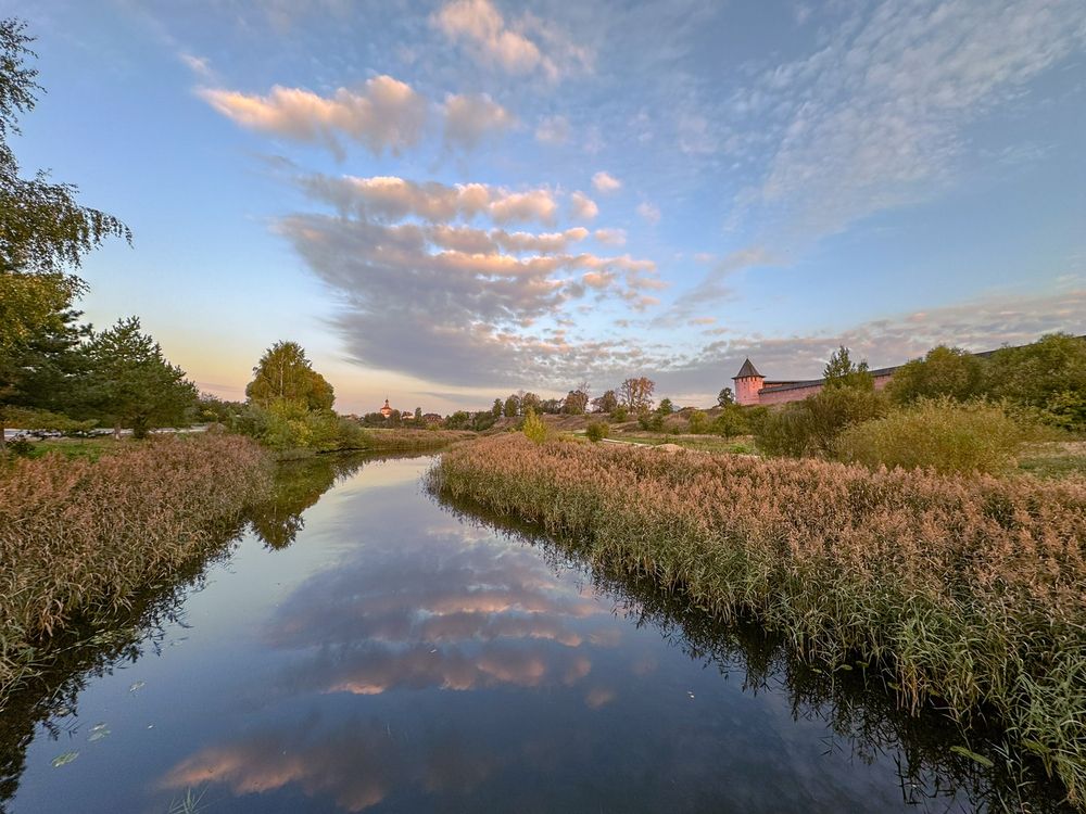 Фотография автора Дмитрюк Вилена