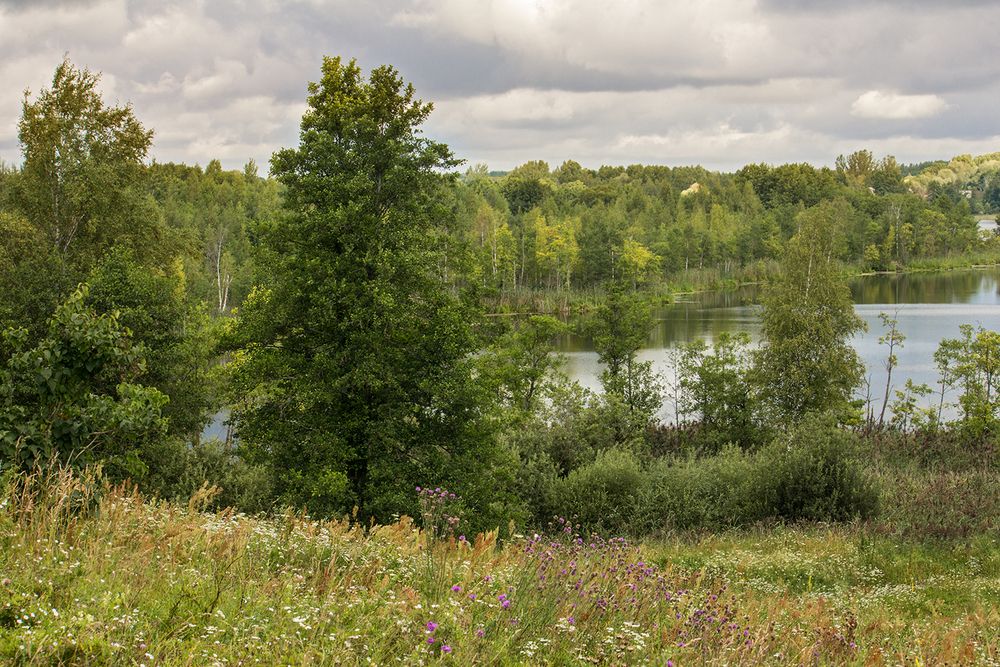 Photograph by Борис Журавлёв