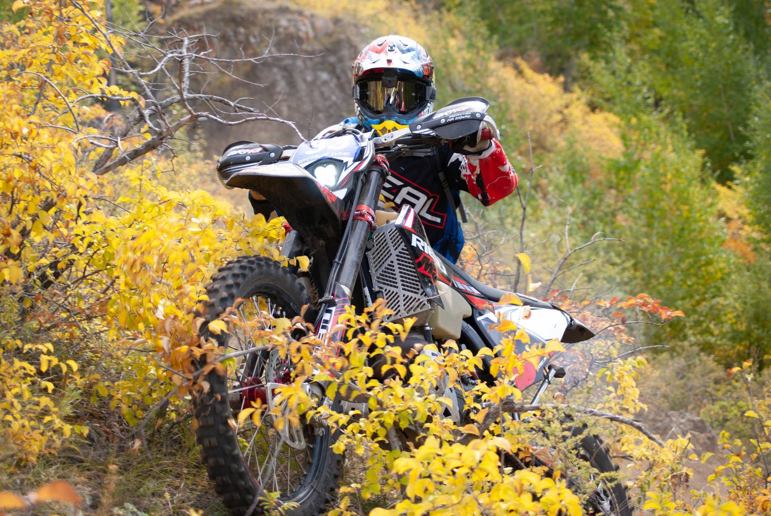 Photo #13409604