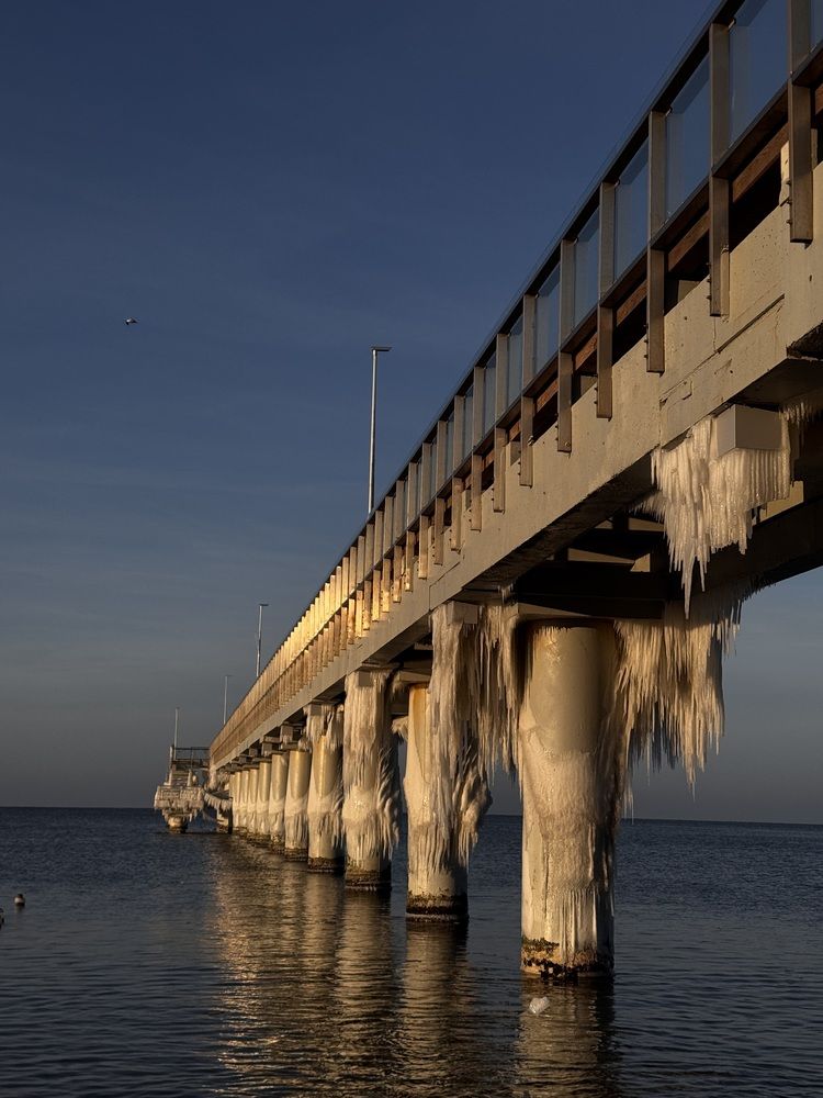 Фотография автора Жанна Колесникова