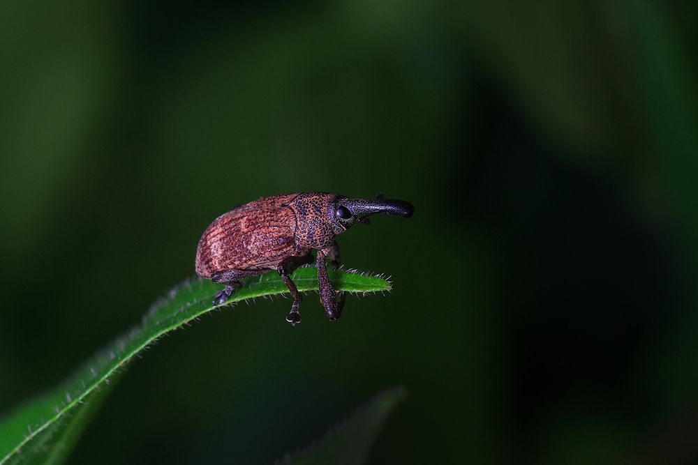Фотография автора Dhananjay Thakur