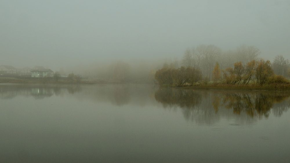 Фотография автора Светлана Сушкевич