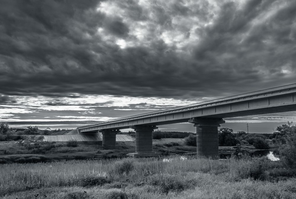 Фотография автора Дмитрюк Вилена