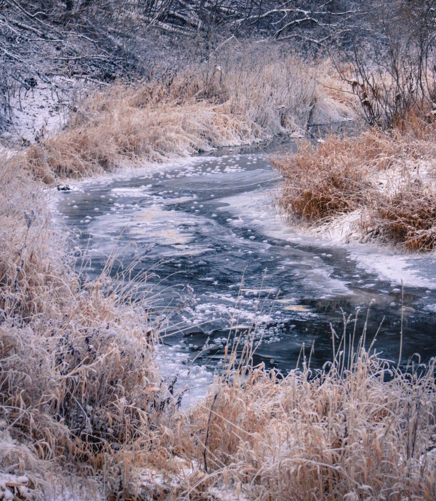 Photograph by Ольга Заповедная