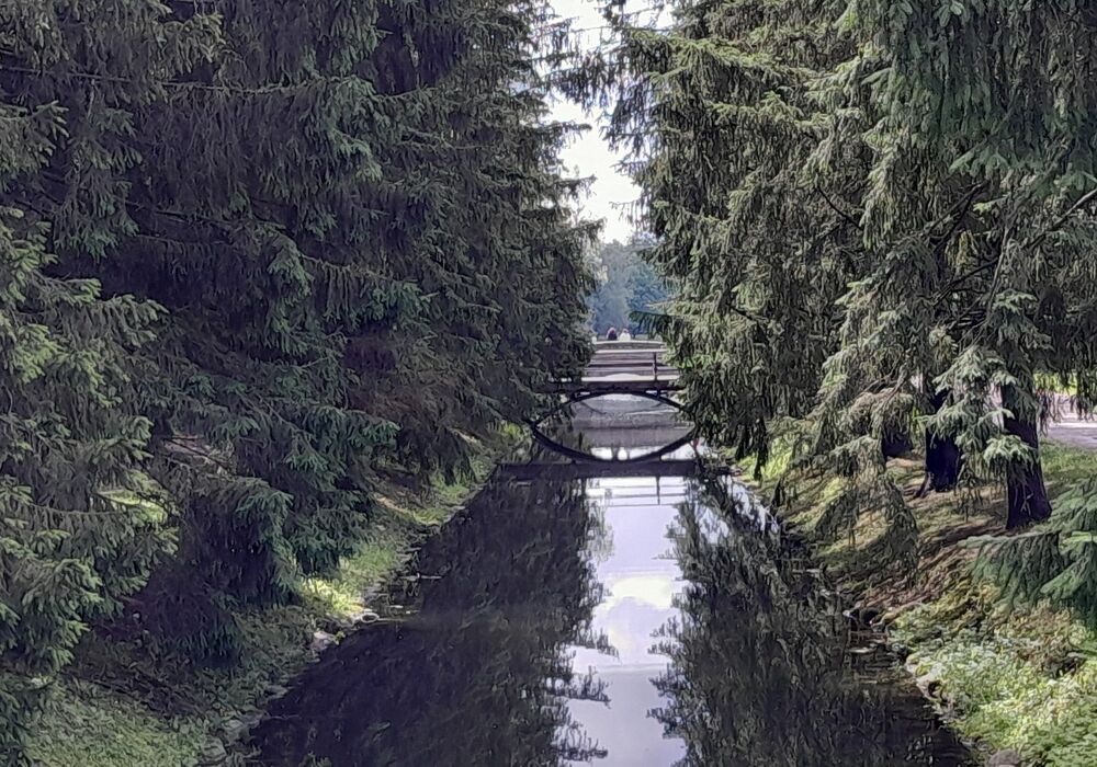 Photograph by Олег Комарицкий