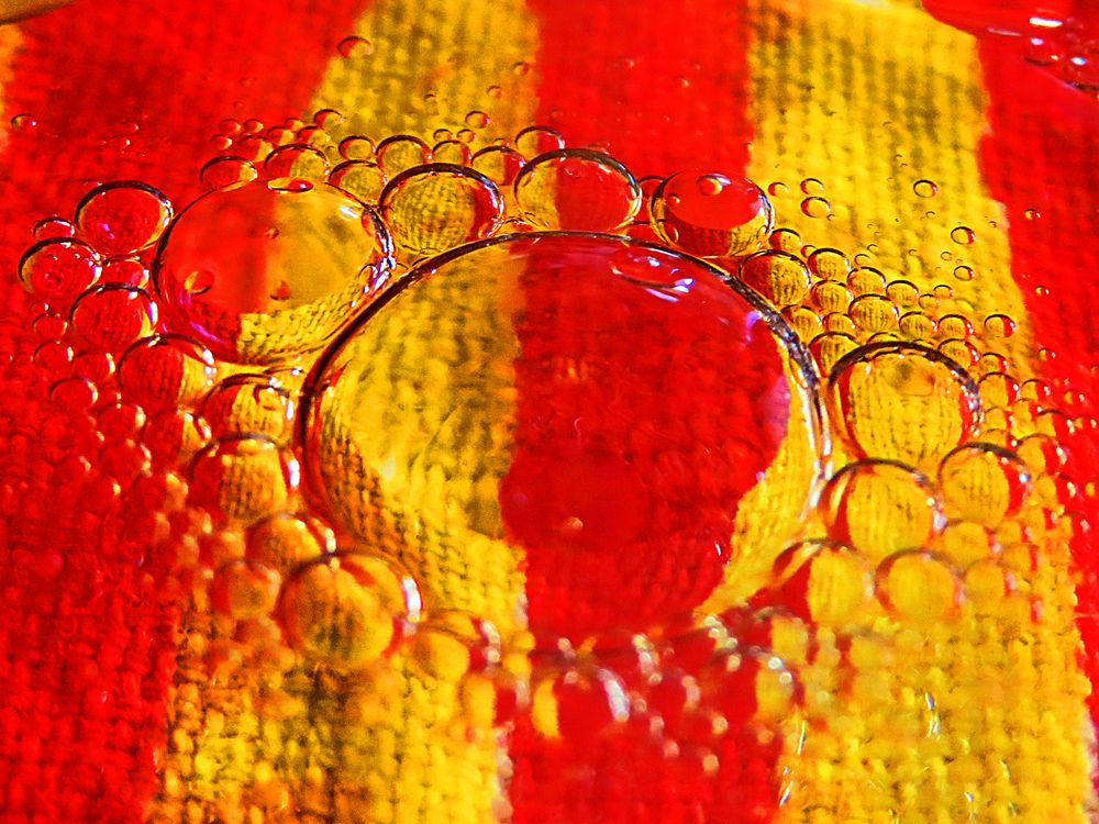 Photograph by Mila Nikolova