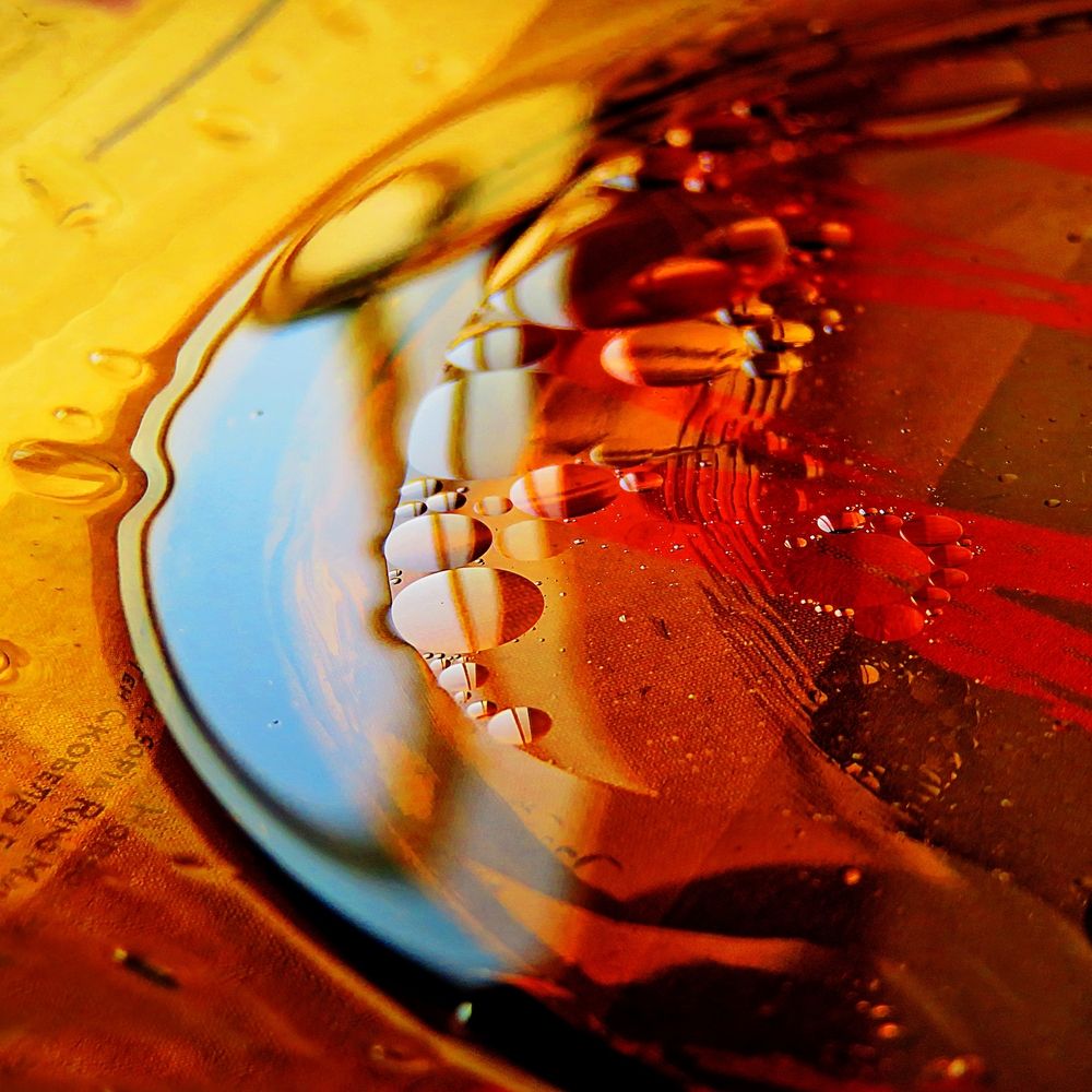 Photograph by Mila Nikolova