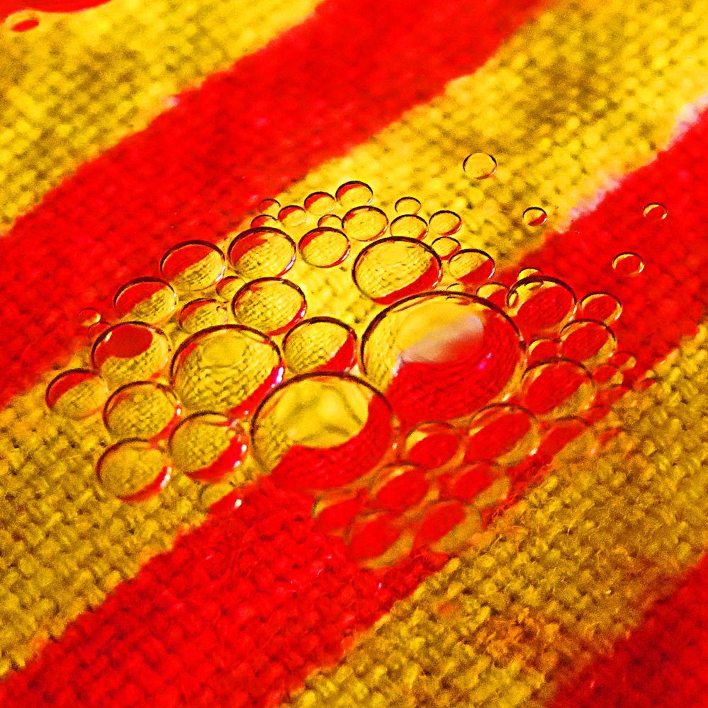 Photograph by Mila Nikolova