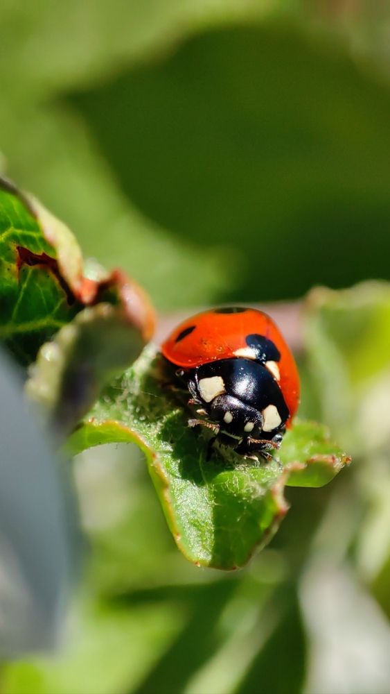Photograph by Марина Артемьева