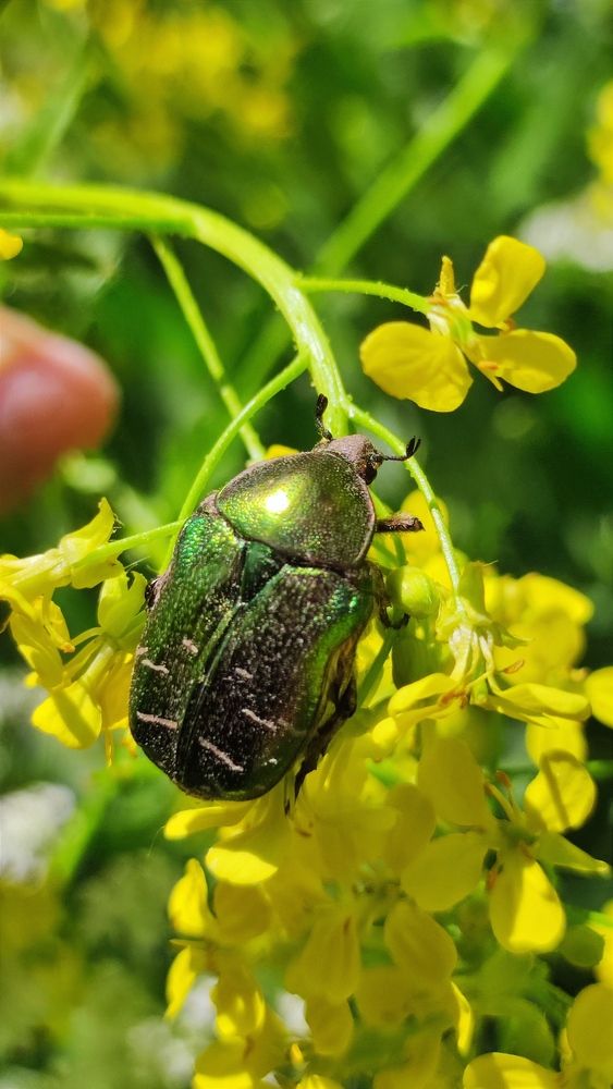 Photograph by Марина Артемьева