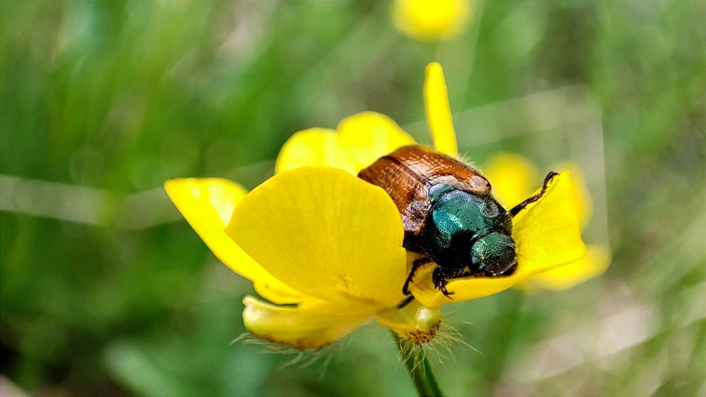 Photograph by Марина Артемьева