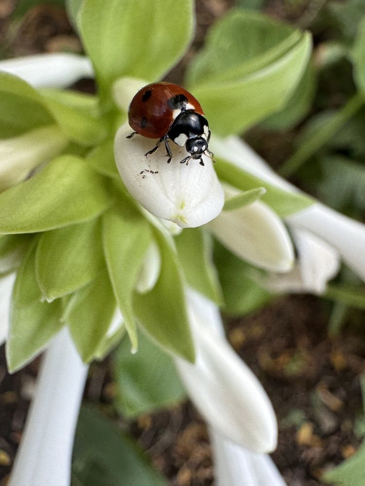 Photograph by Бойкова Наталия