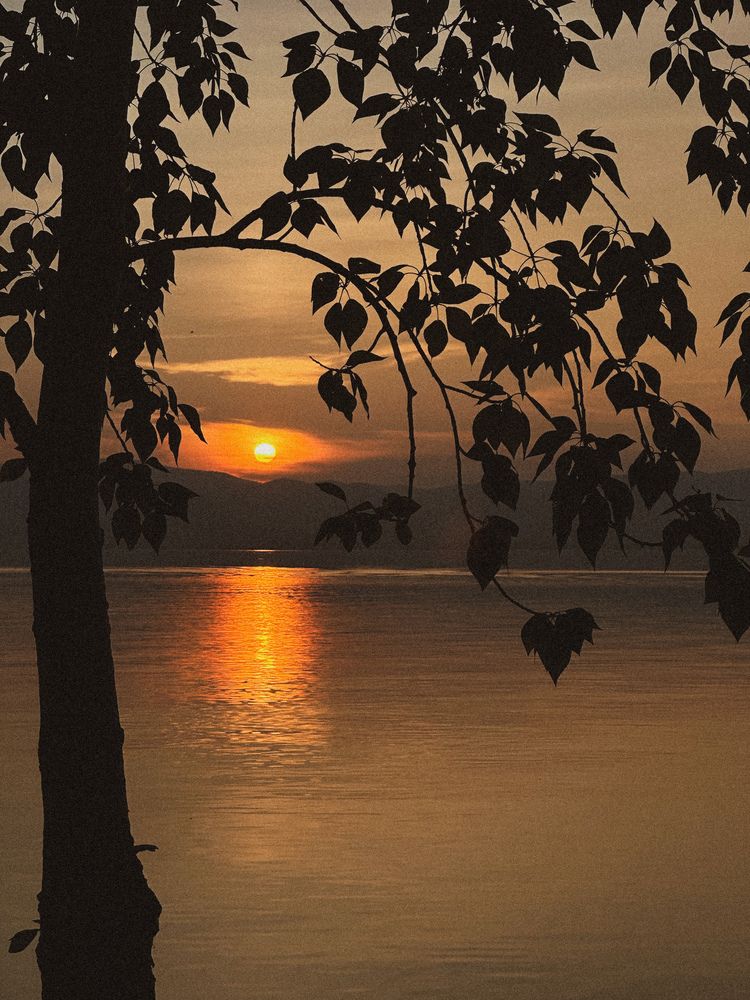 Photograph by Полина Сафонова