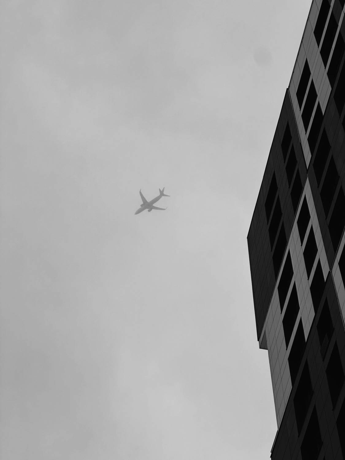 Photo #13410108