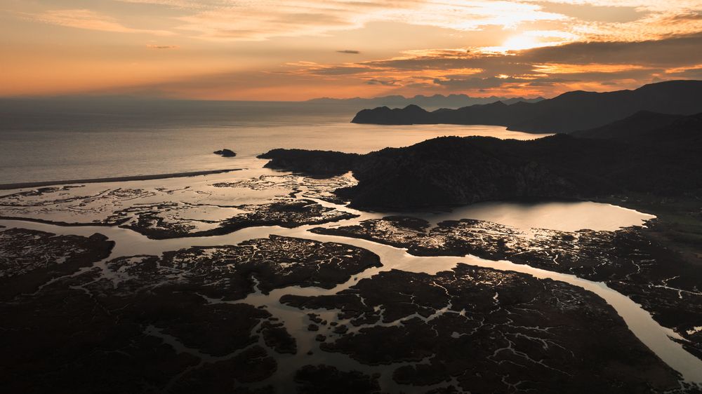 Photograph by Aleksandr Shevchenko