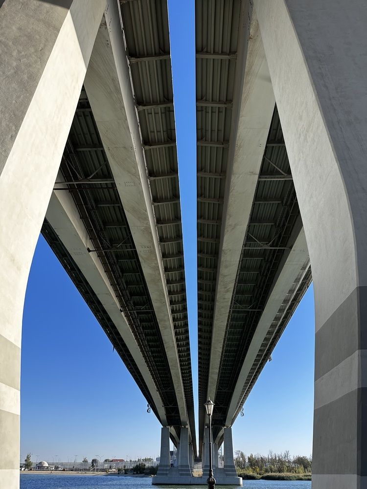 Photo #13410269