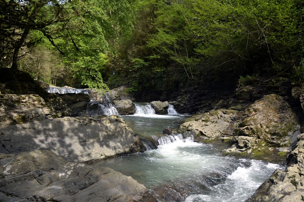 Фотография автора DMITRIY DULIN