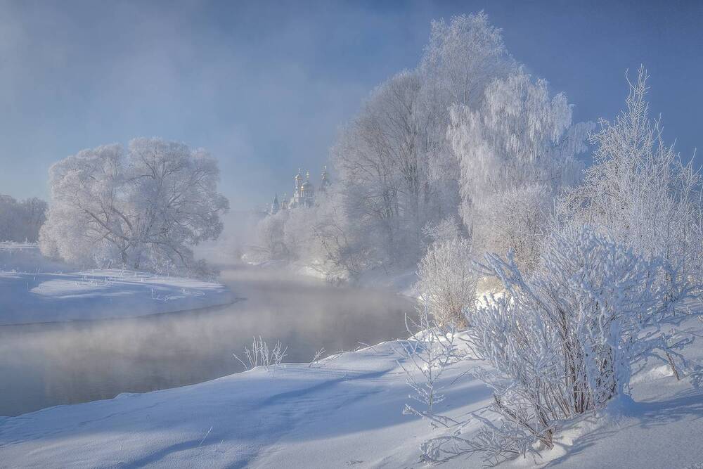Фотография автора Елена Гусева