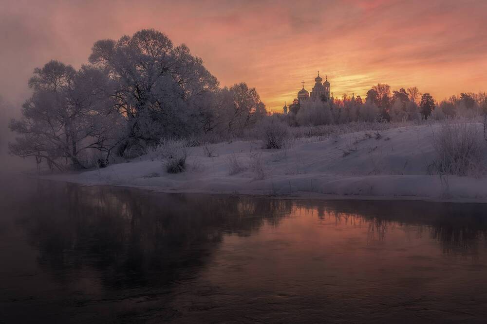 Фотография автора Елена Гусева