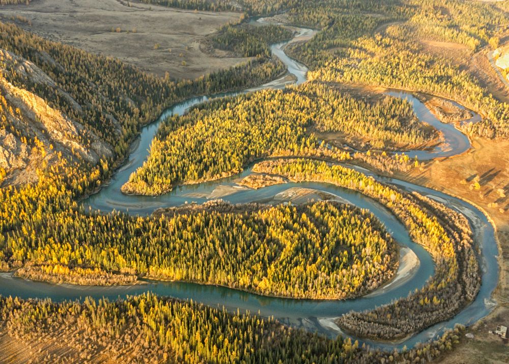 Фотография автора Лариса Дука
