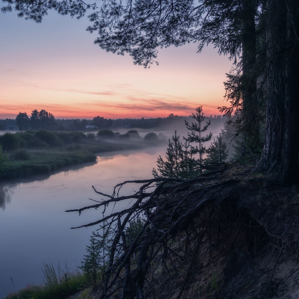 Photograph by Архипкин Александр