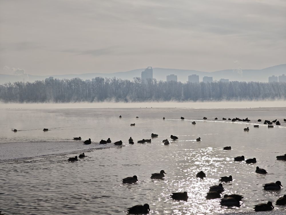 Photograph by Людмила Воропаева