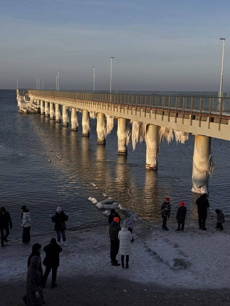Фотография автора Жанна Колесникова