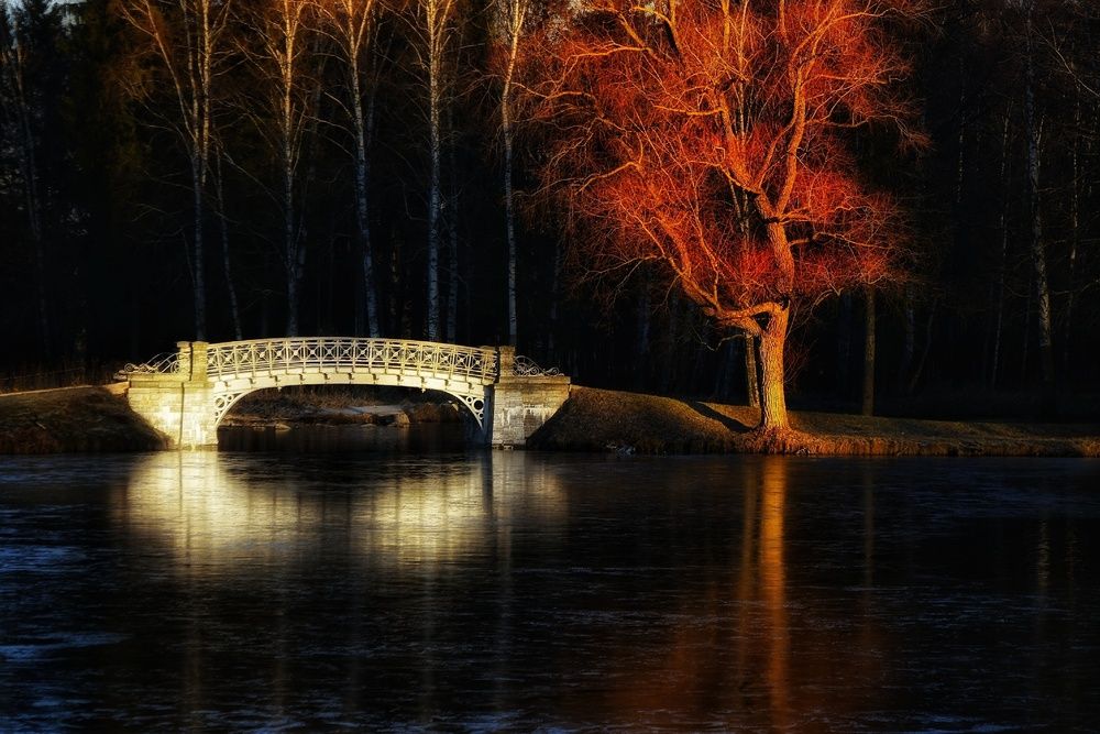 Photograph by Микрокосмос Владимир