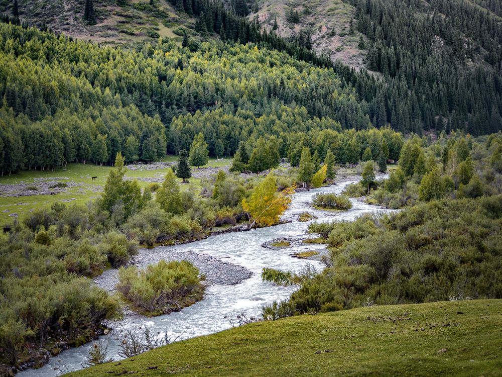 Photograph by Иван Труфанов