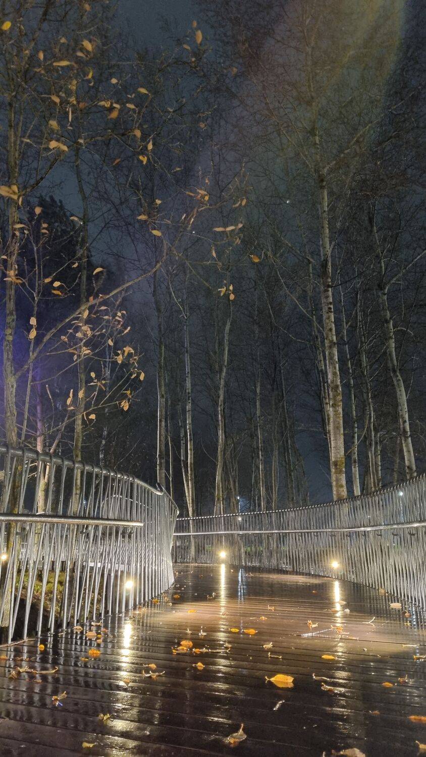 Photo #13410546