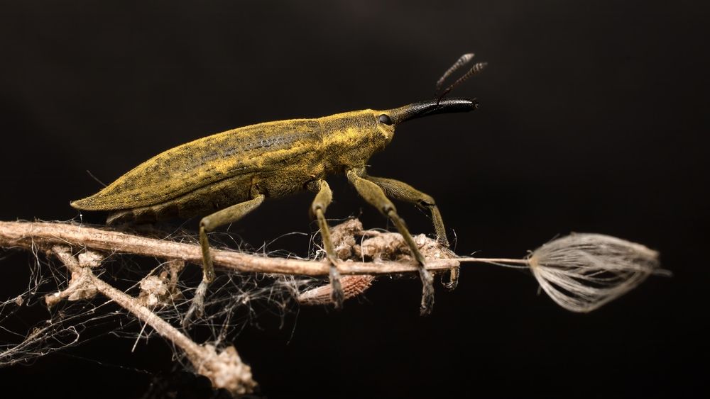 Photograph by Железнова Людмила