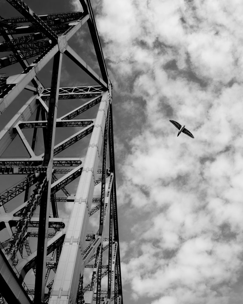 Photograph by SUHAS MANDAL