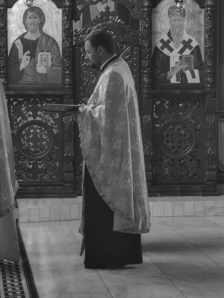 Photograph by Plesa Ioan Dan