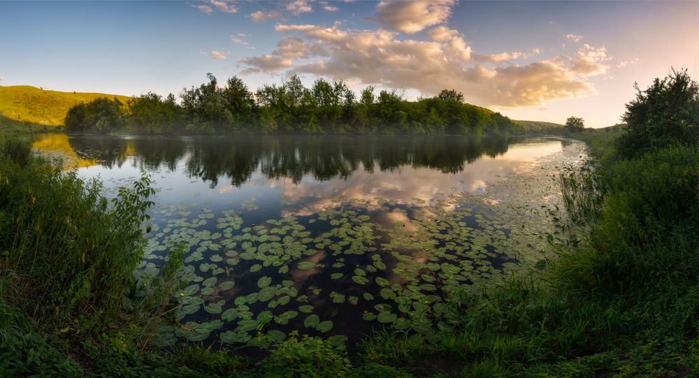 Красивая Меча