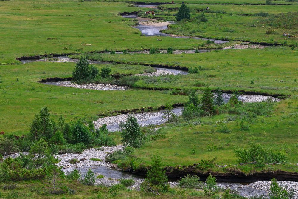 Photograph by Nathalie